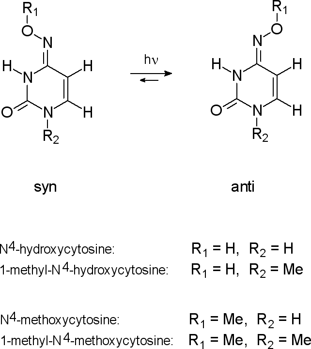syn-anti isomerization